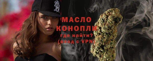 дживик Бородино