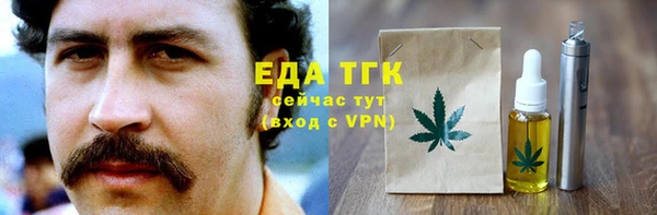 дживик Бородино