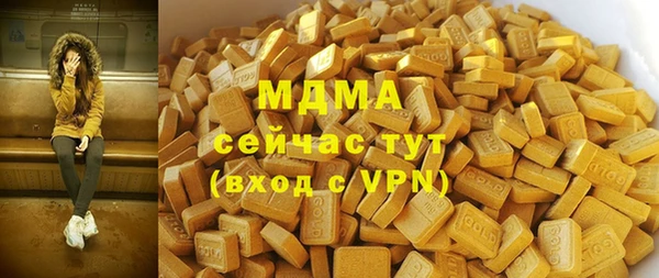 дживик Бородино