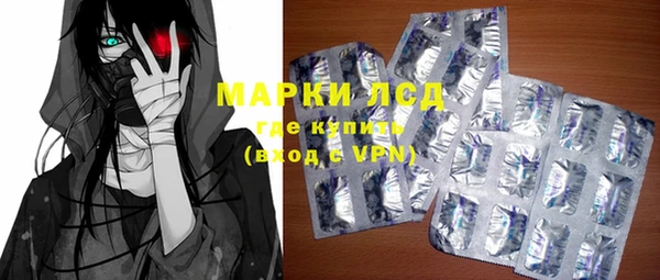 дживик Бородино